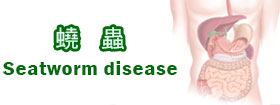 蟯蟲Seatworm disease