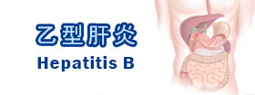 乙型肝炎Hepatitis B