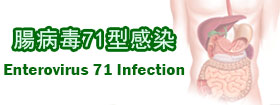 腸病毒71型感染Enterovirus 71 Infection 