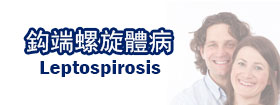 鈎端螺旋體病Leptospirosis