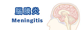 腦膜炎 Meningitis