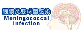 腦膜炎雙球菌感染Meningococcal Infection