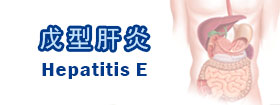 戊型肝炎Hepatitis E