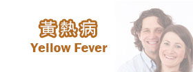 黃熱病Yellow fever