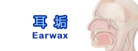 耳垢Earwax