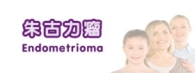 朱古力瘤Endometrioma