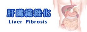 肝臟纖維化Liver Fibrosis