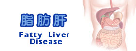 脂肪肝Fatty Liver Disease