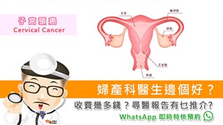 婦產科醫生邊個好