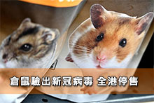 倉鼠驗出新冠病毒 全港停售