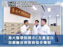 港大醫學院揭示C反應蛋白加劇糖尿病腎病發炎機制