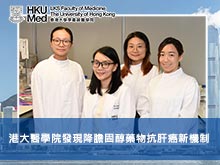 港大醫學院發現降膽固醇藥物抗肝癌新機制