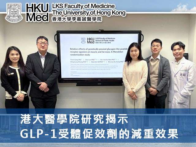 港大醫學院研究揭示GLP-1受體促效劑的減重效果